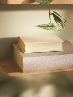 Bücherbox
