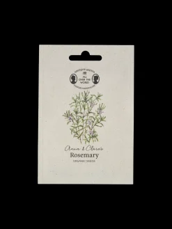 Bio-Rosmarinsamen