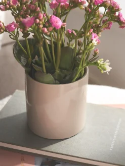 Blumentopf