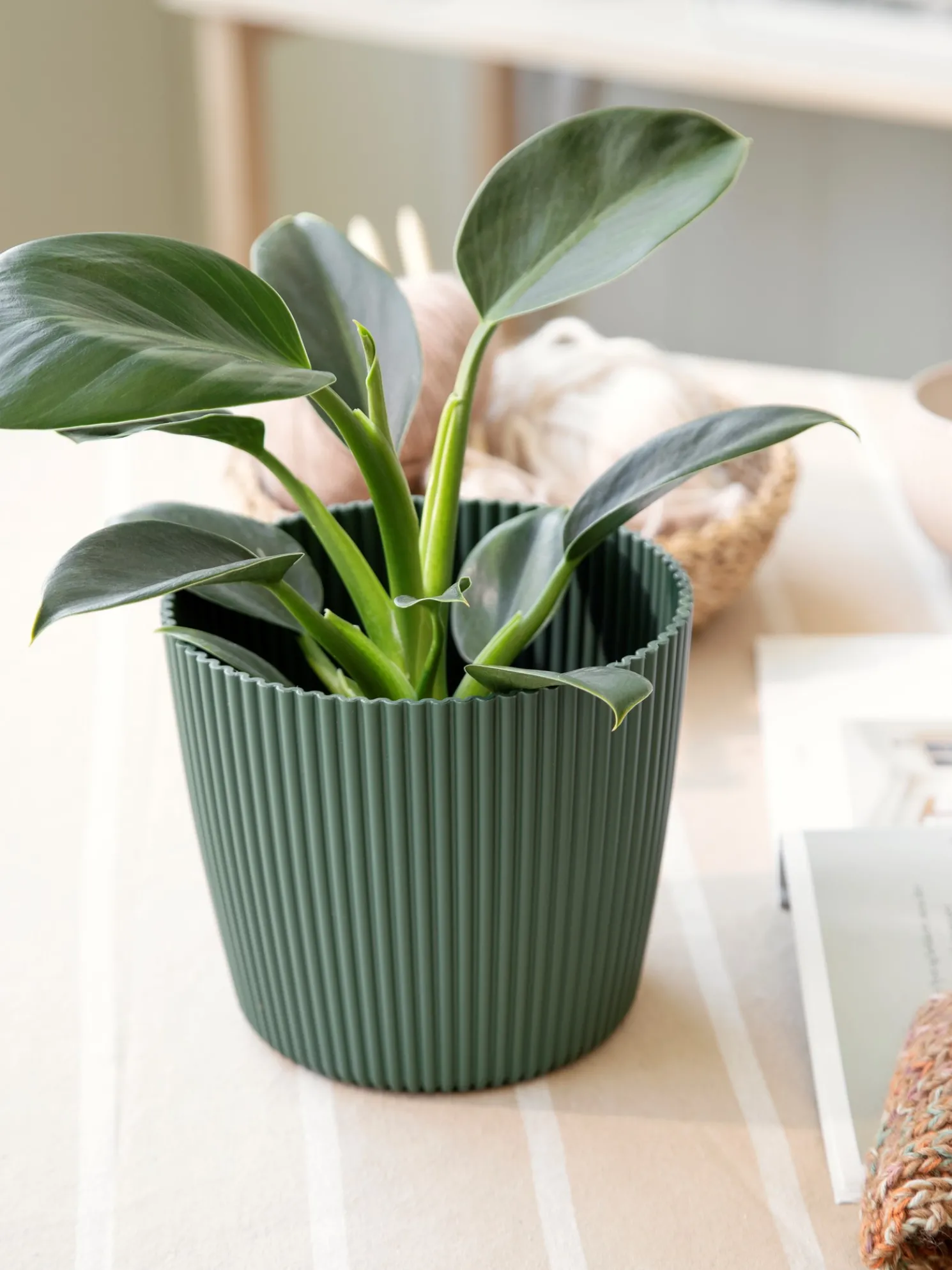 Blumentopf Milly Ø16,9 Cm