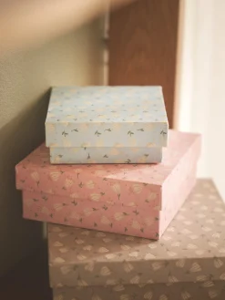 Box