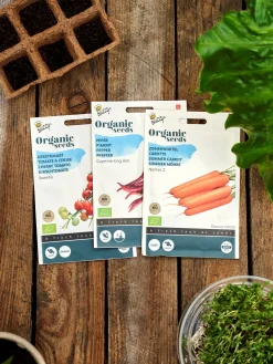 Buzzy® Bio-Karotte Nantes 2