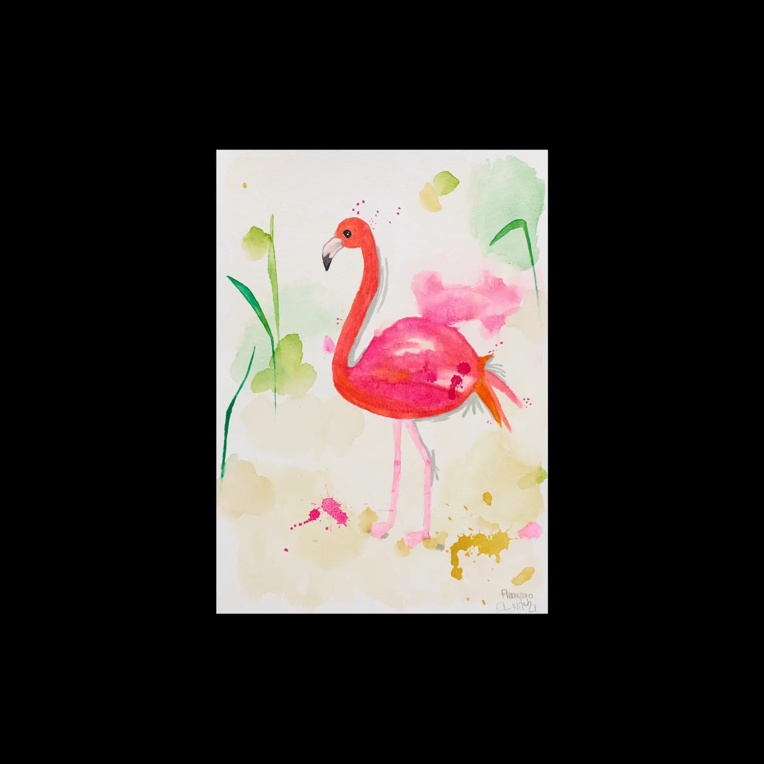 Flamingo 5 A4