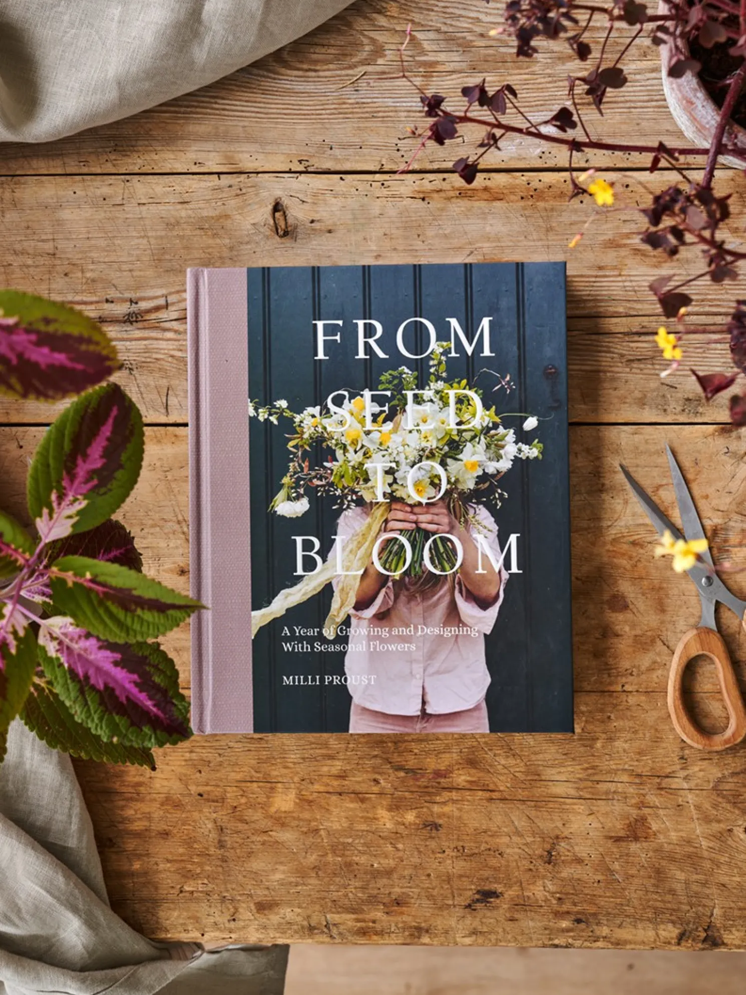 From Seed To Bloom