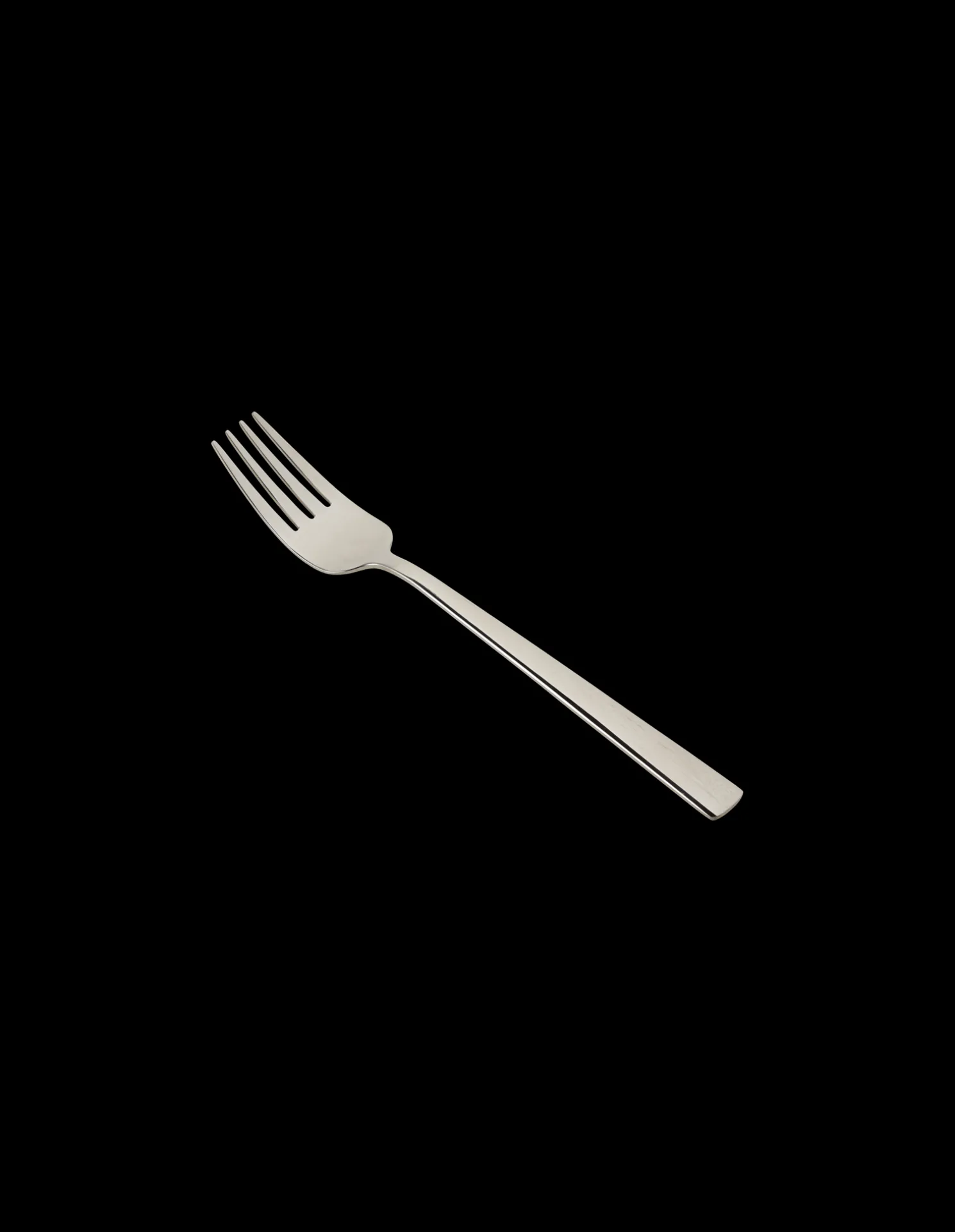 Gabel Mit Glänzender Oberfläche