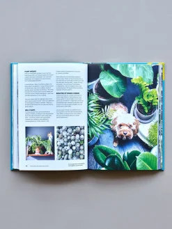 Green Home - The Joy Of Living With Plants