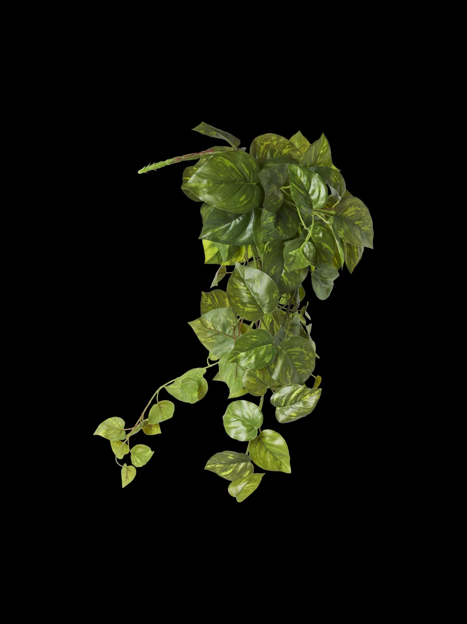 Künstlicher Pothos