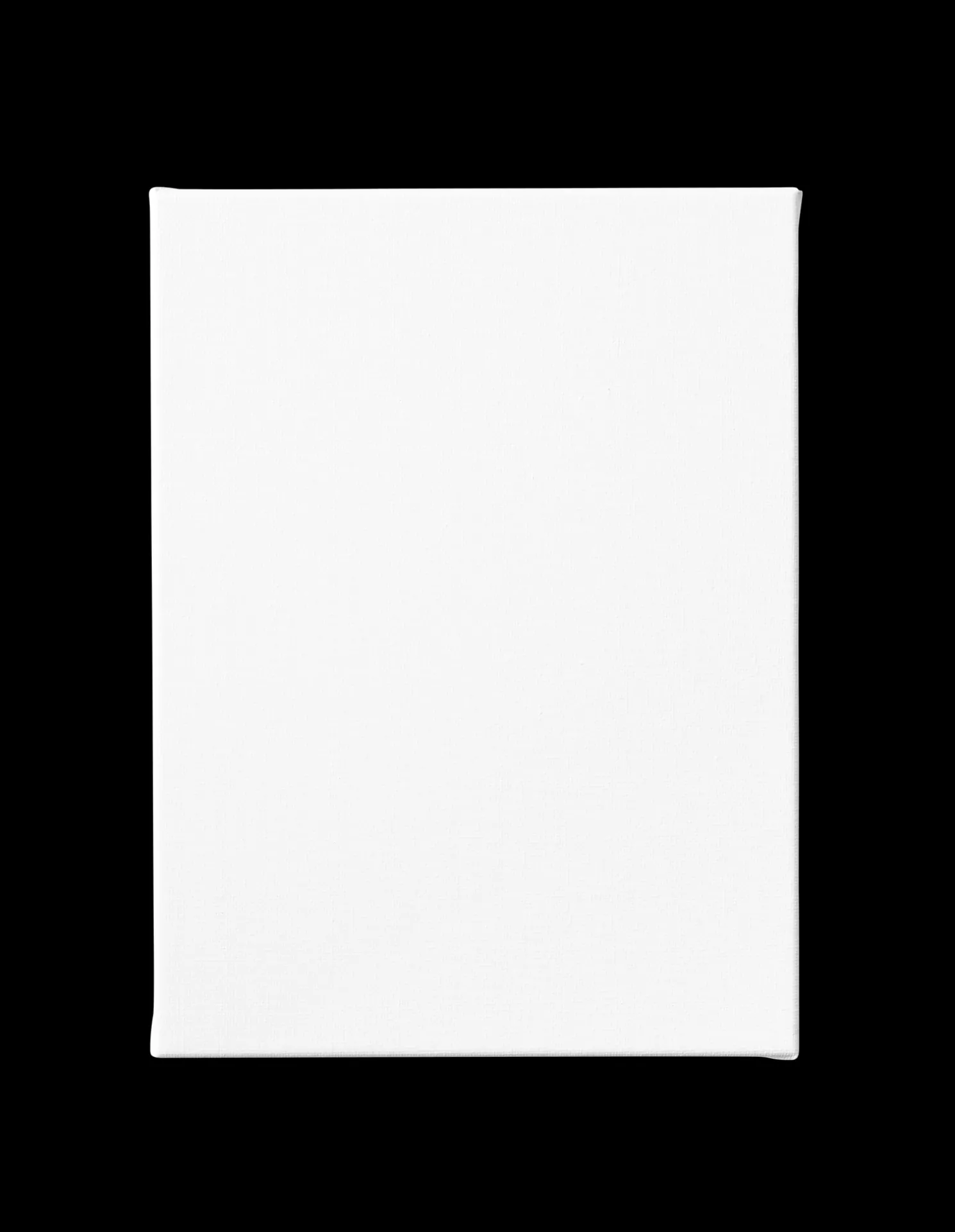 Leinwand 18 X 24
