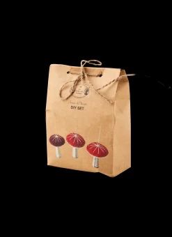 Pilz DIY-Set