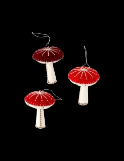 Pilz DIY-Set
