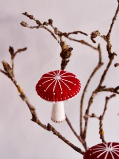 Pilz DIY-Set