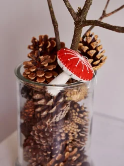 Pilz DIY-Set
