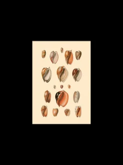 Poster 15 X 21