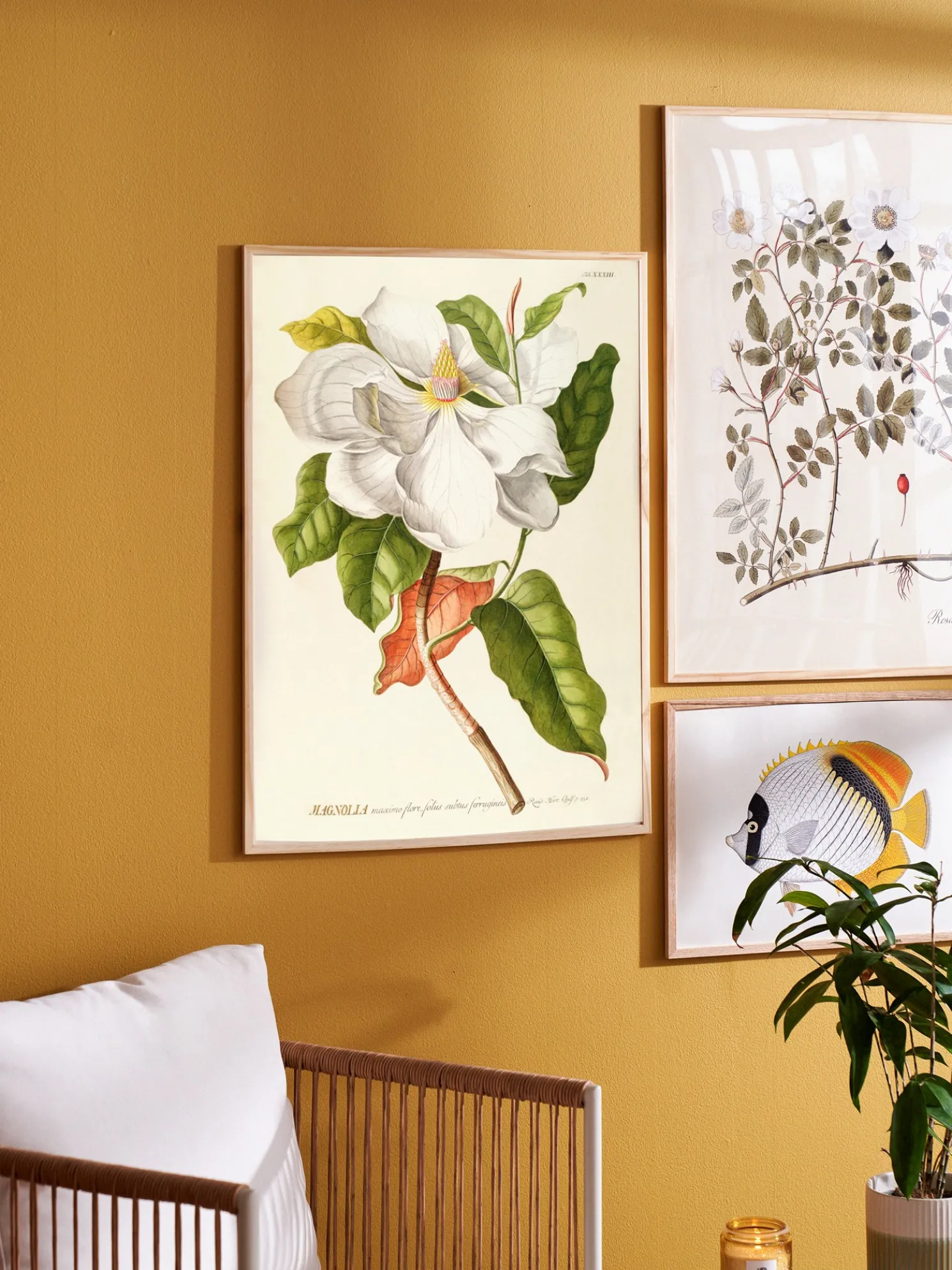 Poster 50 X 70