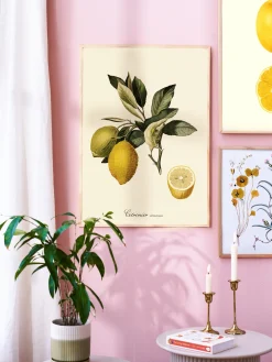 Poster 50 X 70