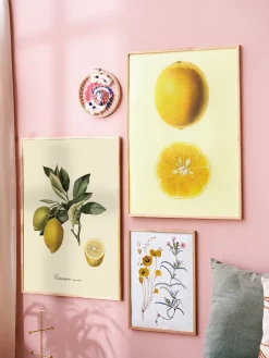 Poster 50 X 70