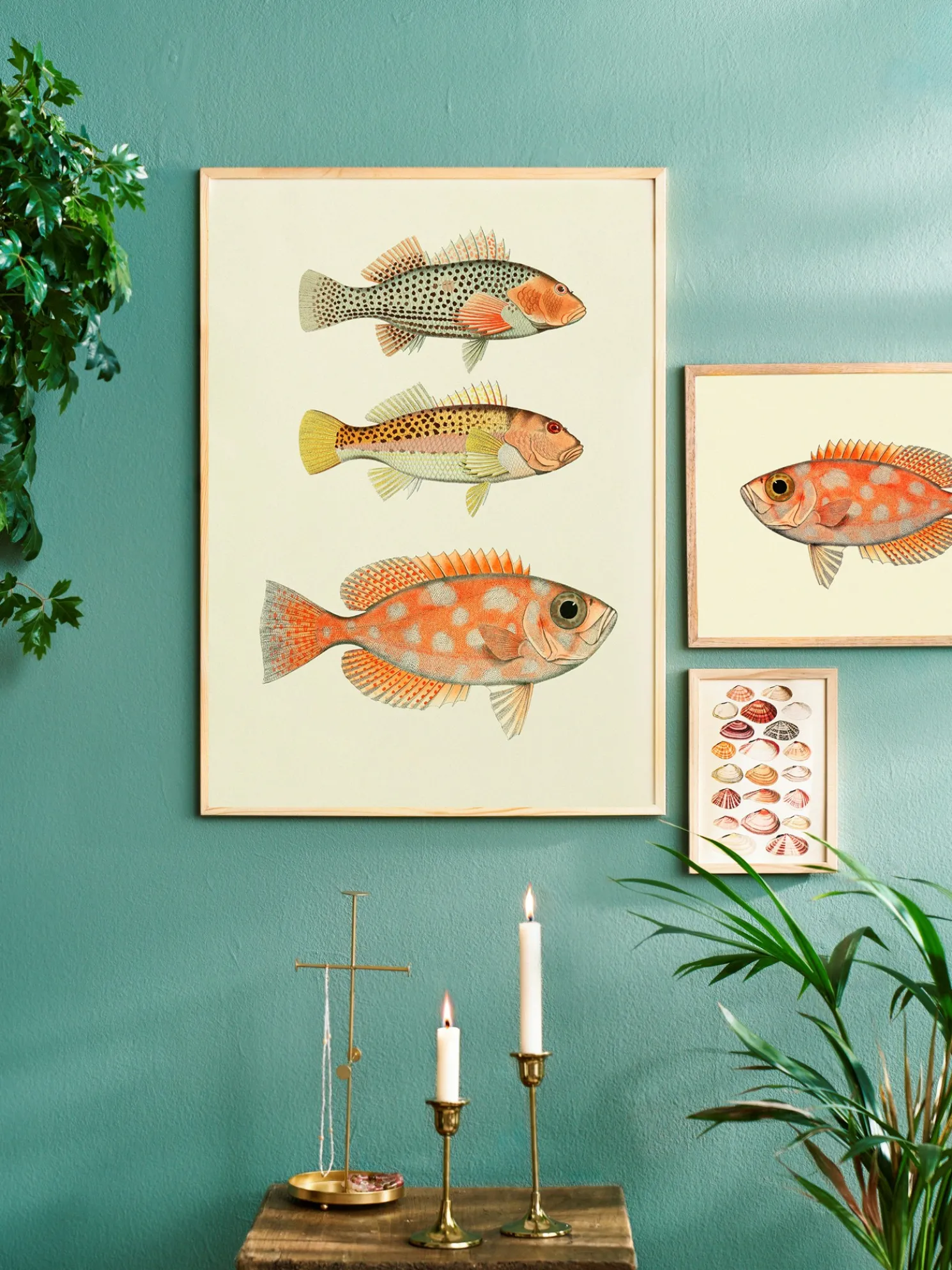 Poster 50 X 70