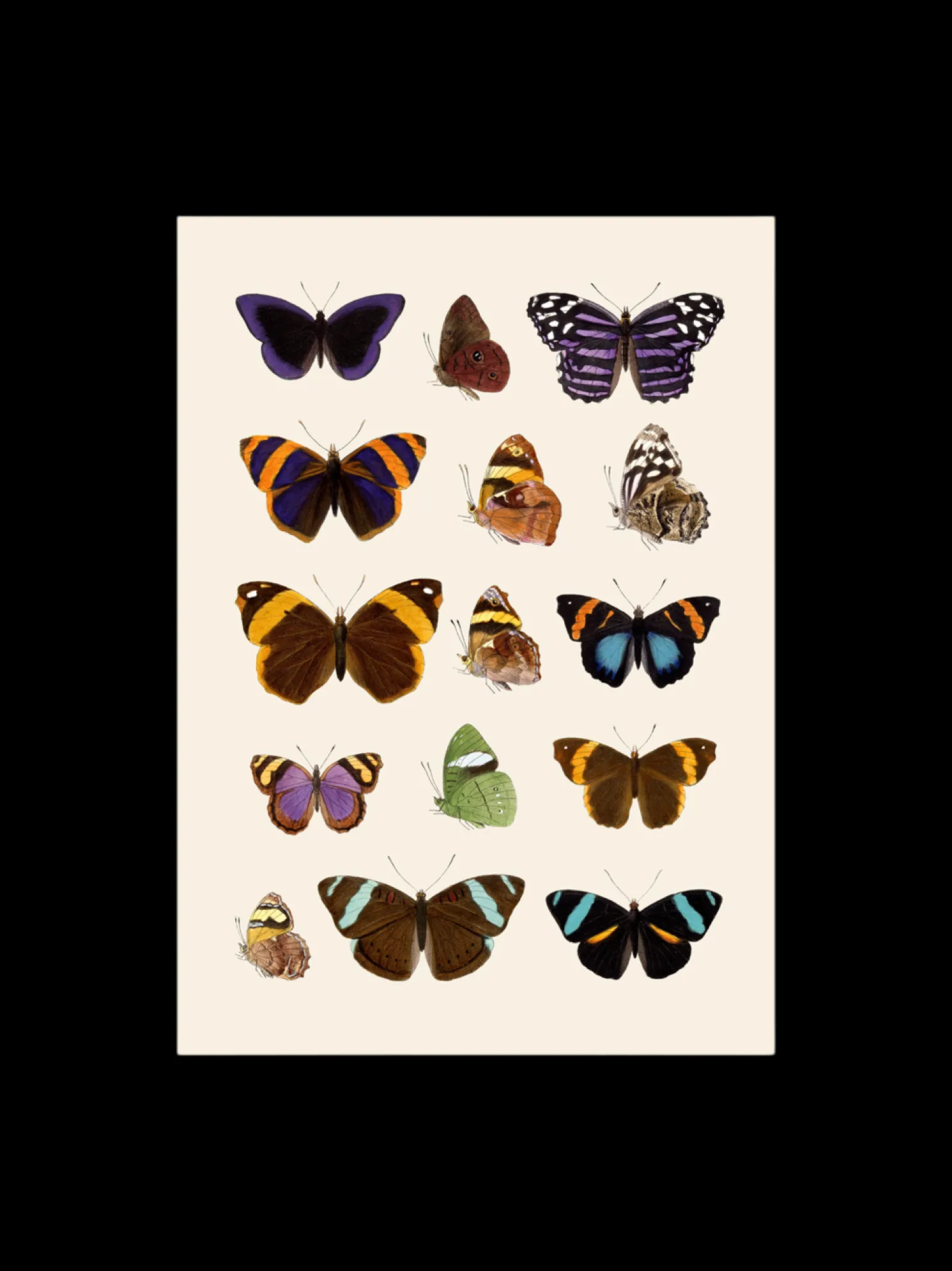 Poster 50 X 70