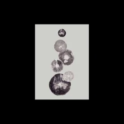Poster Mushroom - 4 Grey 40 X 50