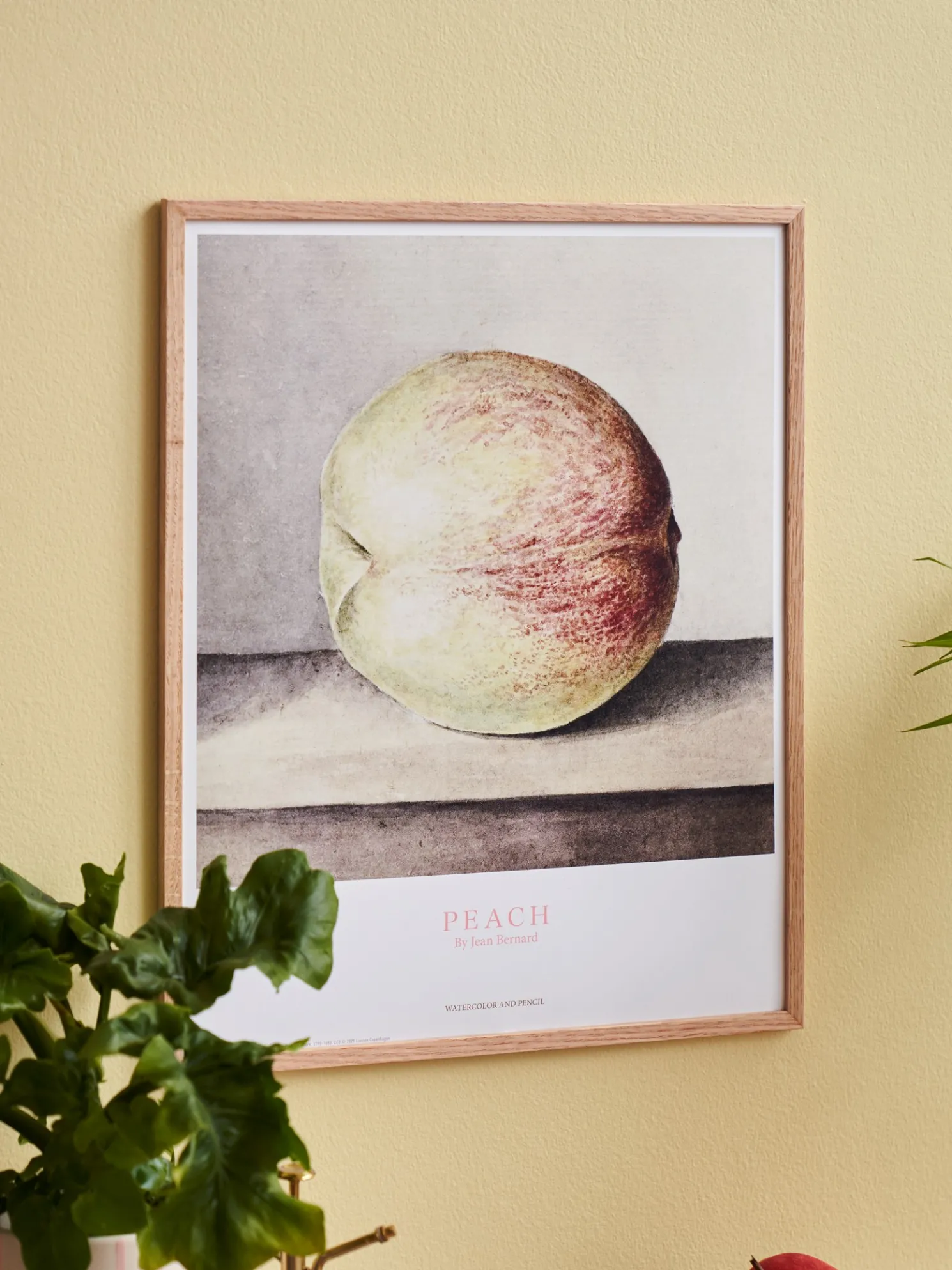Poster Pfirsich 40 X 50