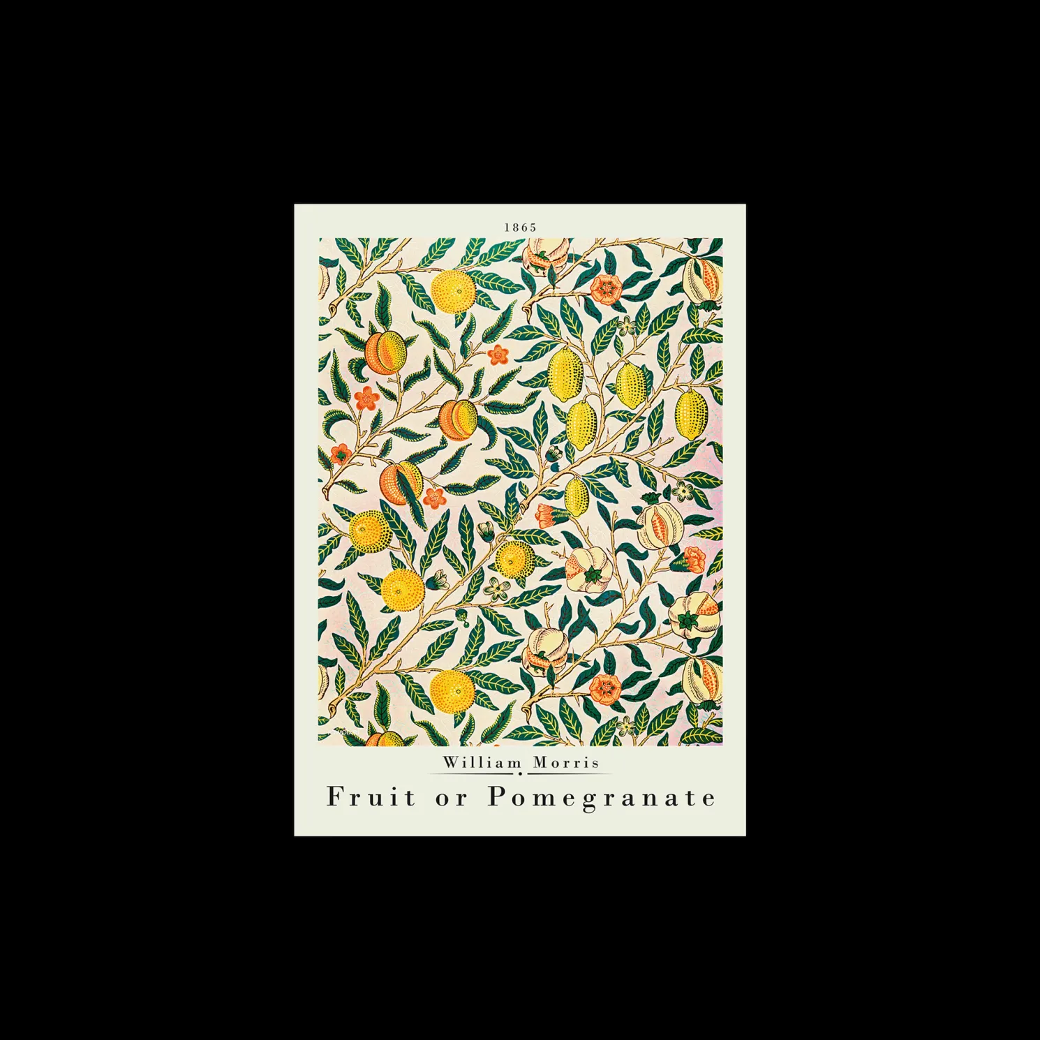 Poster Pomegranate 50 X 70