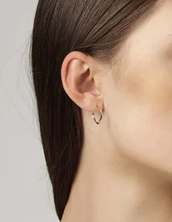 Solveig Hoops