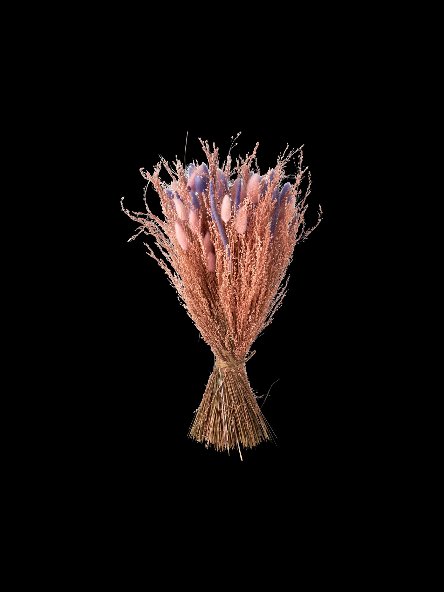 Trockenblumen Rosa Klein