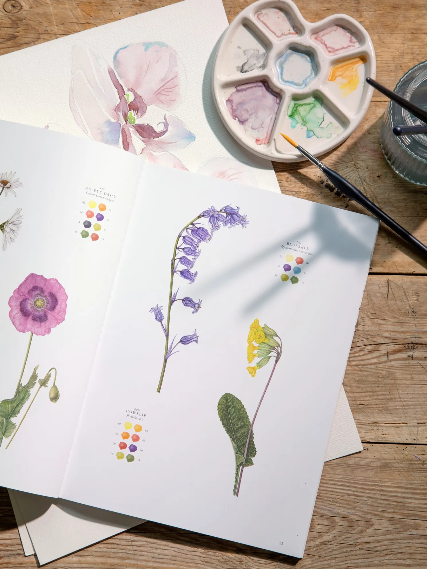 Wildflowers